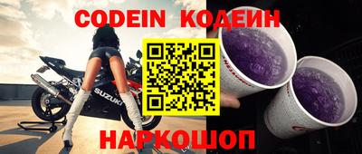 apvp Кингисепп