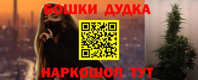 apvp Кингисепп