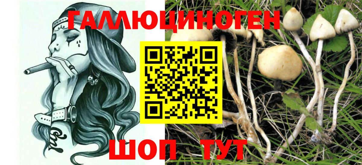 Псилоцибиновые грибы Magic Shrooms  Псилоцибиновые грибы мухоморы  Вход с VPN  продажа наркотиков  Коркино 