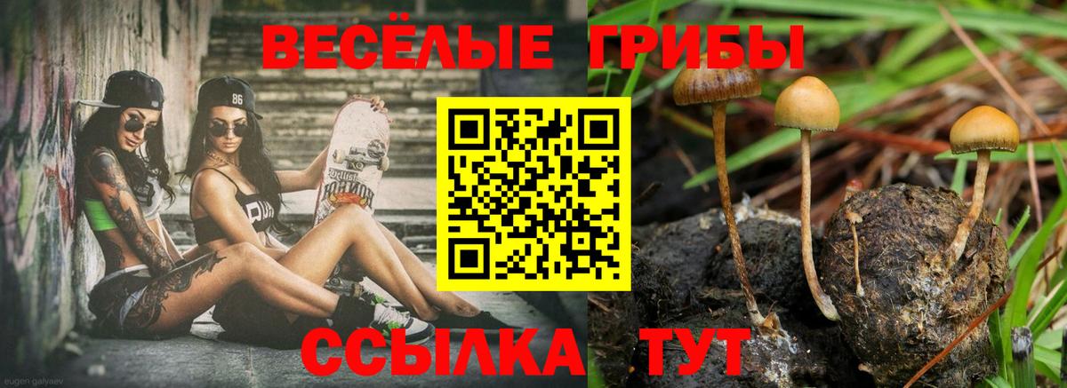 Галлюциногенные грибы GOLDEN TEACHER Коркино